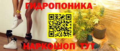 сатива Бийск
