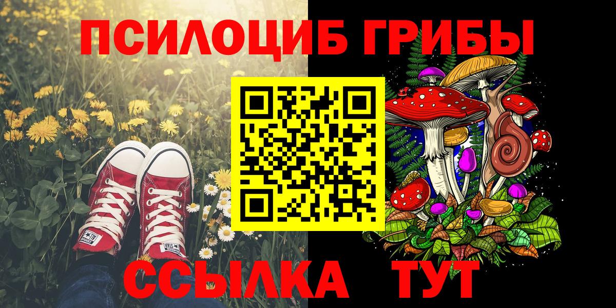 Псилоцибиновые грибы Psilocybine cubensis Зима