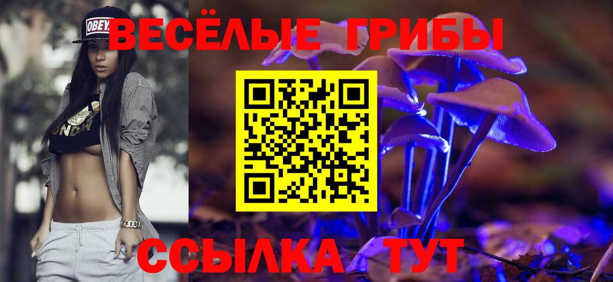 Галлюциногенные грибы Psilocybe  Вход с VPN  Зима 