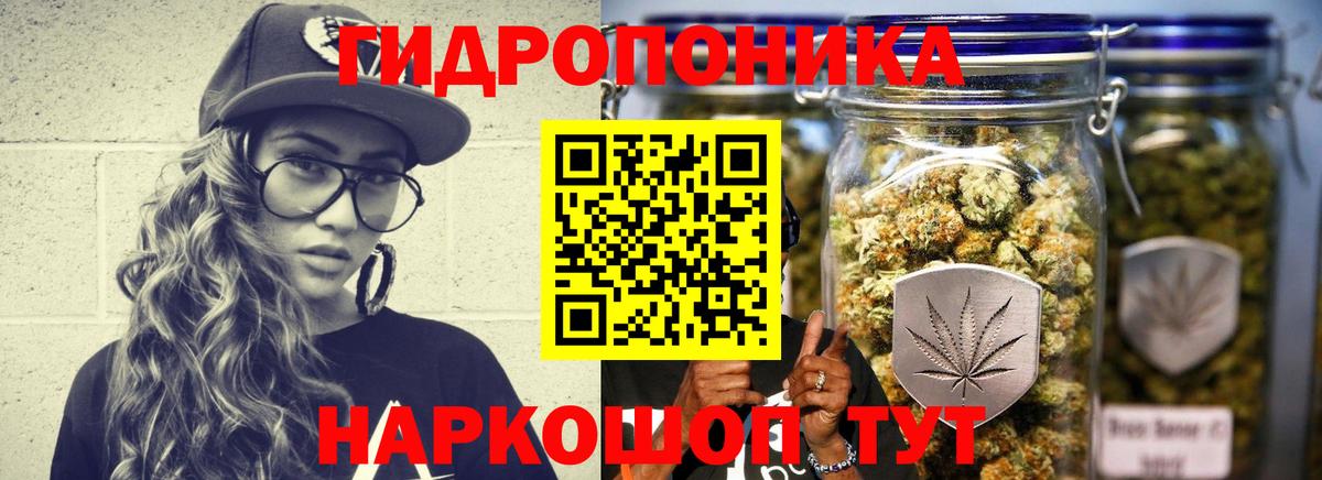 Бошки марихуана индика  МАРИХУАНА THC 21%  Зима  Вход с VPN 